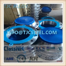 ASME SB381 F-23/Gr23 (Ti-6Al-4V Eli) Titanium Alloy Forged Flanges