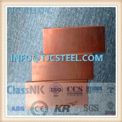 C12200 Red Copper Alloy Sheet/ Plate